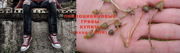 герыч Ладушкин