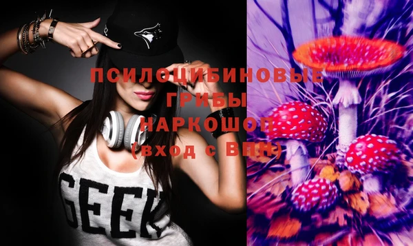 герыч Ладушкин