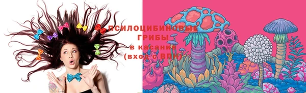 тгк Лабытнанги