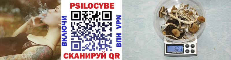 где можно купить   Усмань  Псилоцибиновые грибы Psilocybe 